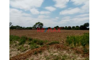 Vendo Terreno Agricola En Motupe. C.DELGADO.