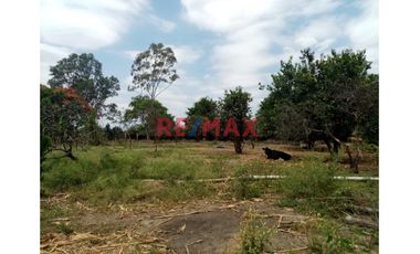 Vendo Terreno Agricola En Motupe. C.DELGADO.