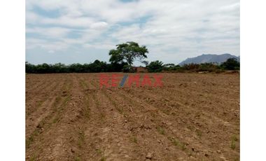 Vendo Terreno Agricola En Motupe. C.DELGADO.