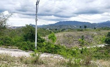Overlooking 313sqm Residential lot for sale in Vista Verde Consolacion Cebu