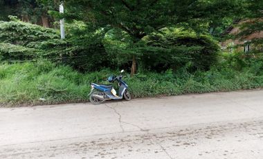 Tanah Pinggir Jalan Raya Lingkar Selatan Cilegon