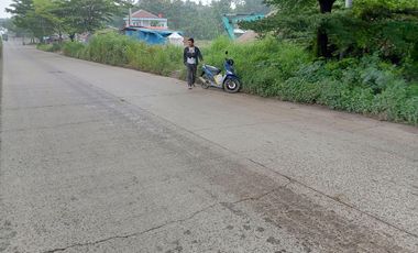 Tanah Pinggir Jalan Raya Lingkar Selatan Cilegon