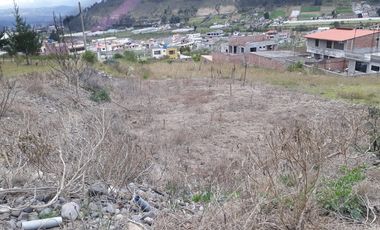 TERRENO IZAMBA SECTOR AEROPUERTO