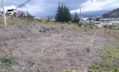 TERRENO IZAMBA SECTOR AEROPUERTO