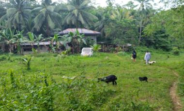 Cebu lot for sale ideal for piggery, poultry and etc. with river