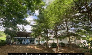Vacation home for sale Phu Patra 3 Khao Yai Project, area 330 sq m, near Khao Yai Country Hill, Pak Chong District, Nakhon Ratchasima Province