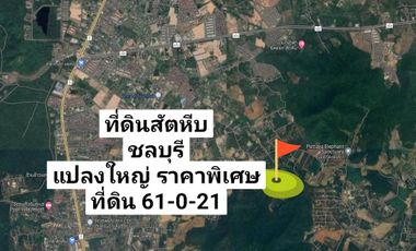 Large plot of land for sale, special price, only 2.5 million baht per rai, Sattahip, Chonburi.