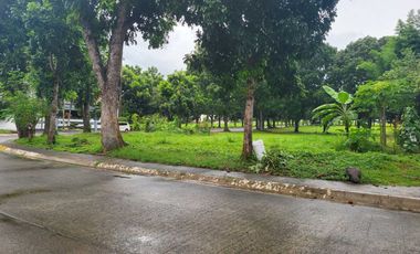 Vacant Corner Lot For Sale in Manila Southwoods Residential Estates 12.5 KM from Alabang