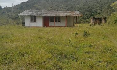 Venta Finca Ganadera Santo Domingo Antioquia