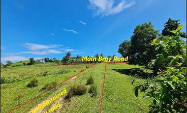 Rush Land For Sale in Mabini Bohol / BOHOLANA REALTY