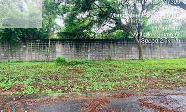 VACANT LOT FOR SALE IN WILLOW PARK HOMES, CABUYAO LAGUNA