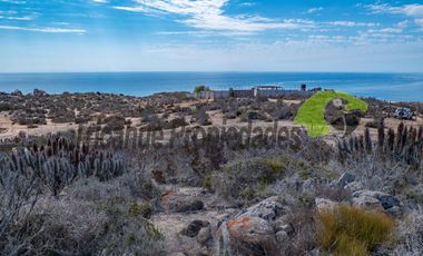Parcela en  El Arrayán Costero, a 15 minutos desde La Serena. Preciosa vista al mar. $22 millones