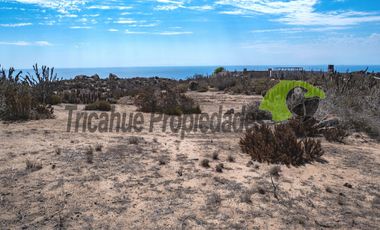 Parcela en  El Arrayán Costero, a 15 minutos desde La Serena. Preciosa vista al mar. $22 millones