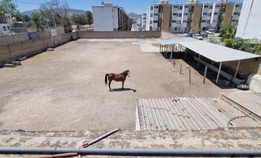 Terreno