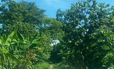 Finca de Venta - SECTOR LA LUCHA EN LOS RIOS