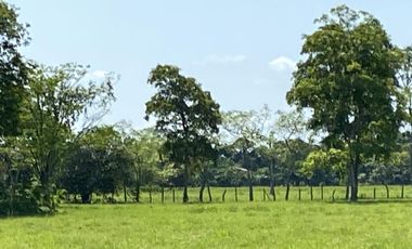 Finca de Venta - SECTOR LA LUCHA EN LOS RIOS