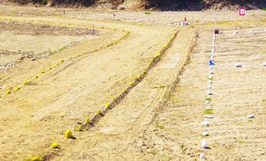 TERRENO PARA DESARROLLO URBANO O PROYECTO DE VIVIENDA