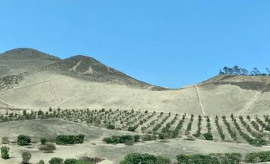 TERRENO EN VENTA EN CONDOMINIO FINCA MARIA, PACHACAMAC