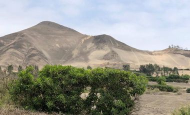 TERRENO EN VENTA EN CONDOMINIO FINCA MARIA, PACHACAMAC