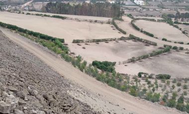 TERRENO EN VENTA EN CONDOMINIO FINCA MARIA, PACHACAMAC