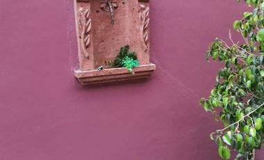 CASA EN RENTA EN TOLUCA UNA PLANTA