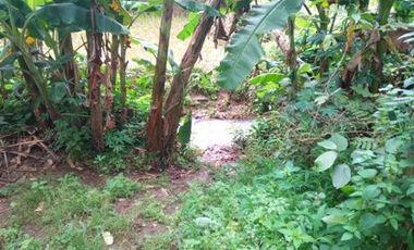 197 Tumbak Tanah Sawah & Sumber Air, Cipulus, Ngamprah, Bandung Barat