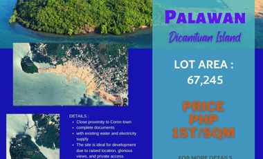 Coron Palawan - Island for Sale