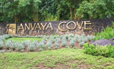 Anvaya Cove Lot for Sale Morong, Bataan near Subic