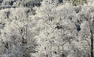 VENDO HERMOSAS PARCELAS CON ESPECTACULAR ENTORNO CORDILLERANO AMINUTOS DE LAS TERMAS DE CHILLAN