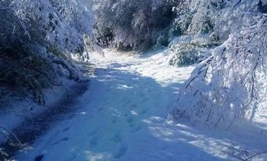 VENDO HERMOSAS PARCELAS CON ESPECTACULAR ENTORNO CORDILLERANO AMINUTOS DE LAS TERMAS DE CHILLAN