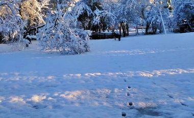 VENDO HERMOSAS PARCELAS CON ESPECTACULAR ENTORNO CORDILLERANO AMINUTOS DE LAS TERMAS DE CHILLAN