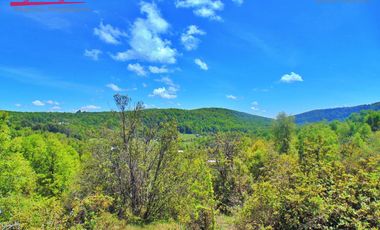 VENDO HERMOSAS PARCELAS CON ESPECTACULAR ENTORNO CORDILLERANO AMINUTOS DE LAS TERMAS DE CHILLAN