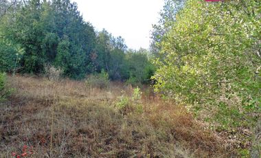 VENDO HERMOSAS PARCELAS CON ESPECTACULAR ENTORNO CORDILLERANO AMINUTOS DE LAS TERMAS DE CHILLAN