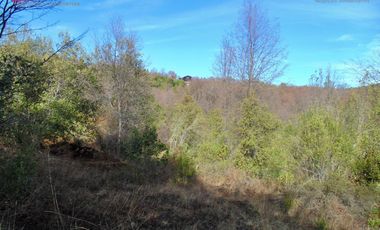 VENDO HERMOSAS PARCELAS CON ESPECTACULAR ENTORNO CORDILLERANO AMINUTOS DE LAS TERMAS DE CHILLAN
