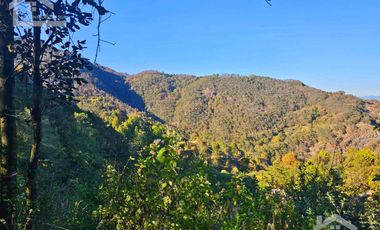 TERRENO CON VISTA PANORÁMICA HACIA LAS ROCAS LA TANDA EN MINERAL DEL CHICO