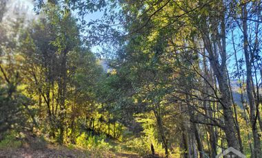 TERRENO CON VISTA PANORÁMICA HACIA LAS ROCAS LA TANDA EN MINERAL DEL CHICO