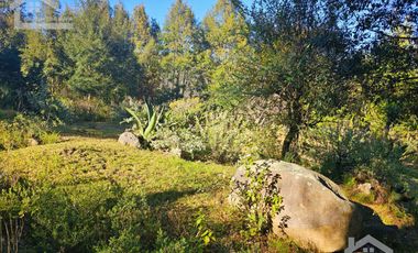 TERRENO CON VISTA PANORÁMICA HACIA LAS ROCAS LA TANDA EN MINERAL DEL CHICO