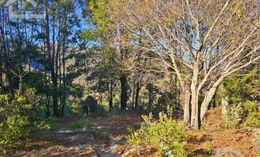 TERRENO CON VISTA PANORÁMICA HACIA LAS ROCAS LA TANDA EN MINERAL DEL CHICO