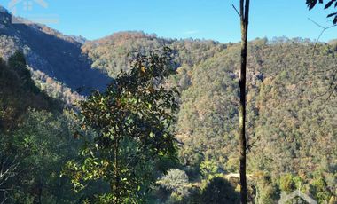 TERRENO CON VISTA PANORÁMICA HACIA LAS ROCAS LA TANDA EN MINERAL DEL CHICO