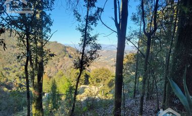 TERRENO CON VISTA PANORÁMICA HACIA LAS ROCAS LA TANDA EN MINERAL DEL CHICO