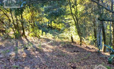 TERRENO CON VISTA PANORÁMICA HACIA LAS ROCAS LA TANDA EN MINERAL DEL CHICO