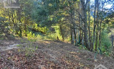 TERRENO CON VISTA PANORÁMICA HACIA LAS ROCAS LA TANDA EN MINERAL DEL CHICO