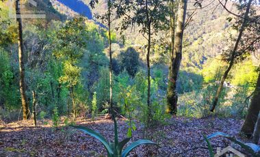TERRENO CON VISTA PANORÁMICA HACIA LAS ROCAS LA TANDA EN MINERAL DEL CHICO