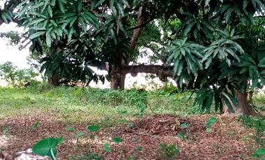 Vacant Lot for Lease in Baliuag, Bulacan - LA3K