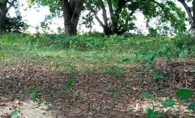 Vacant Lot for Lease in Baliuag, Bulacan - LA3K