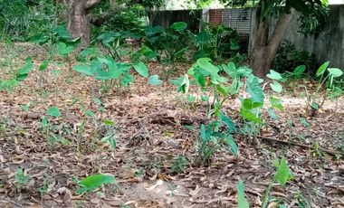 Vacant Lot for Lease in Baliuag, Bulacan - LA3K