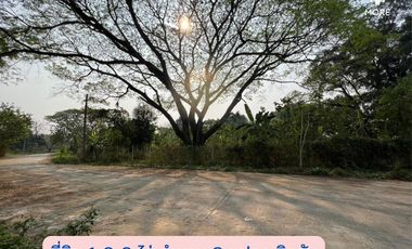 MORE-123LS Land for sale in Soi Wat Don Kaew, 1 rai (400 sq.wah = 1,600 sq.m.), Don Kaeo Subdistrict, Mae Rim District, Chiang Mai.
