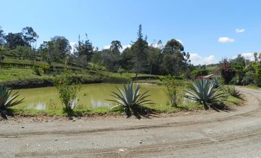 casa en conjunto cerrado Naranjos