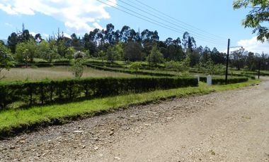 casa en conjunto cerrado Naranjos