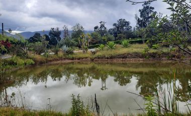 casa en conjunto cerrado Naranjos